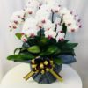 Share Orchid シェアオーキッド7本立ち-ホワイト系 3 140281159