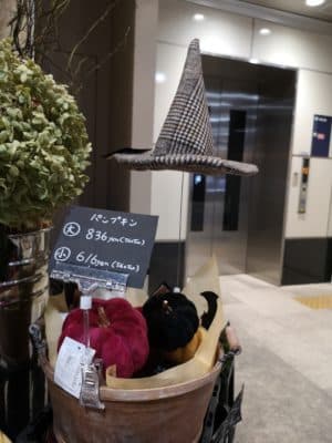 ハロウィンが近くなりました🎃 1 IMG 20220915 230117