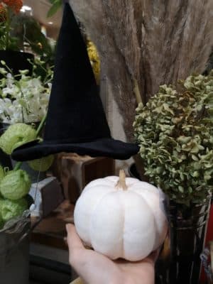 ハロウィンが近くなりました🎃 3 IMG 20220915 230211