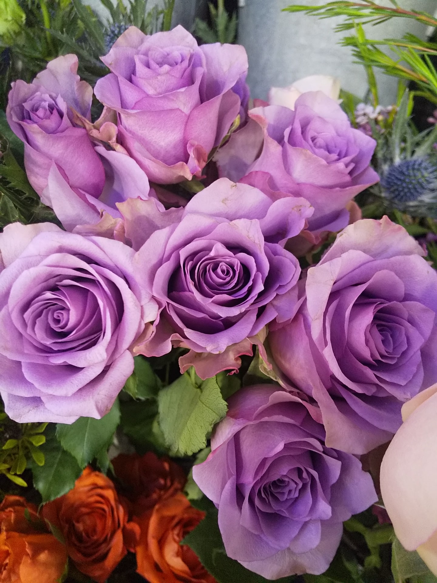 本数指定OK バラの花束 7 本数指定OK バラの花束 - 画像 (7)