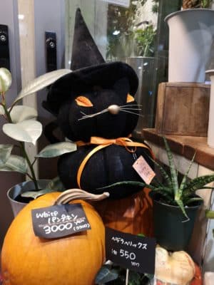 ハロウィンについて① 1 IMG 20221030 180735
