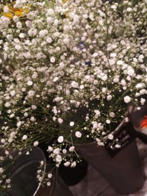 デルフィニウムの魅力 3 IMG 20230428 130948