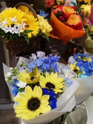 ひまわりの魅力① 4 IMG 20230523 144943