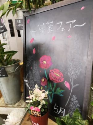 芍薬フェア開催中 3 IMG 20230530 150651