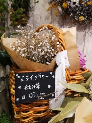 ドライフラワーの魅力 3 IMG 20230611 150537