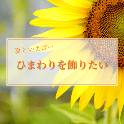 84cd530a7d5fa912ec8f0b27d965f00f