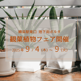 9月横浜ポルタ催事のお知らせ 1 6bf41b9b704b3e3be36871b79033b2fa