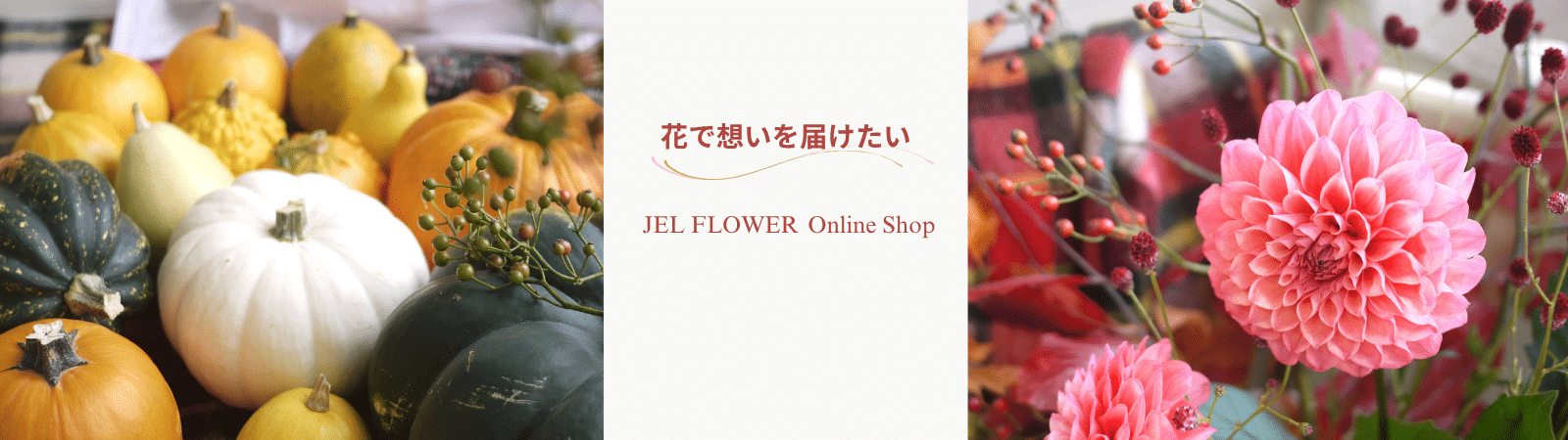 620406f02ee157b9a198f03e08ab81b2
