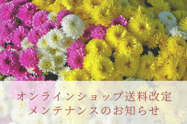 cc51a0a572231bb400e25dab43c185fa